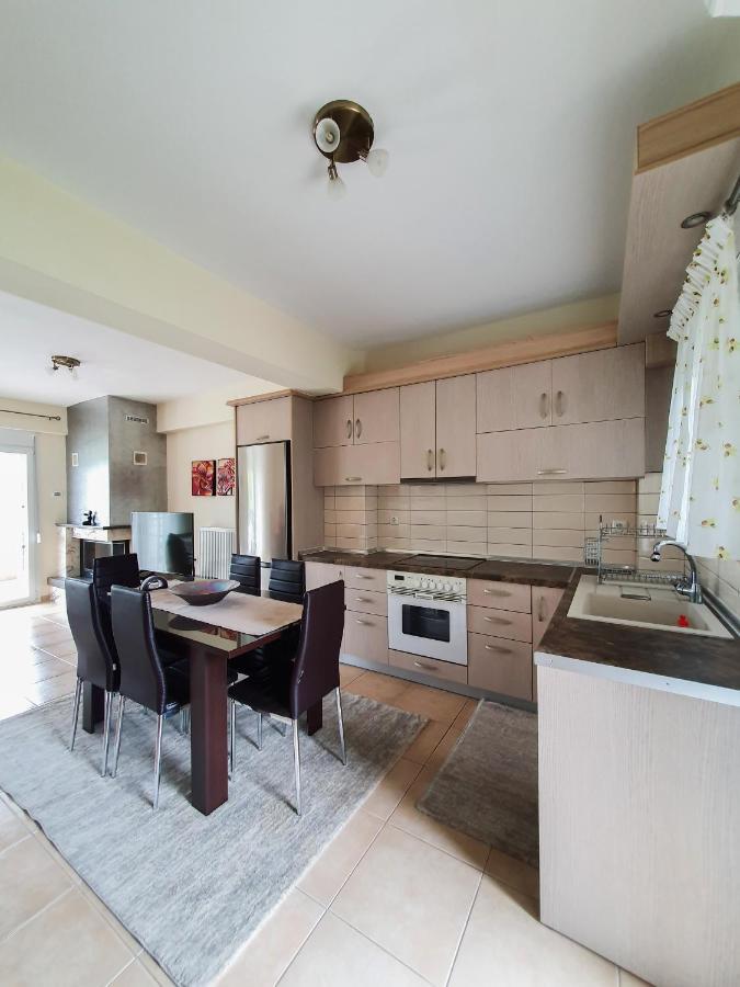Olympian Two Floor Apartment Лептокария Экстерьер фото