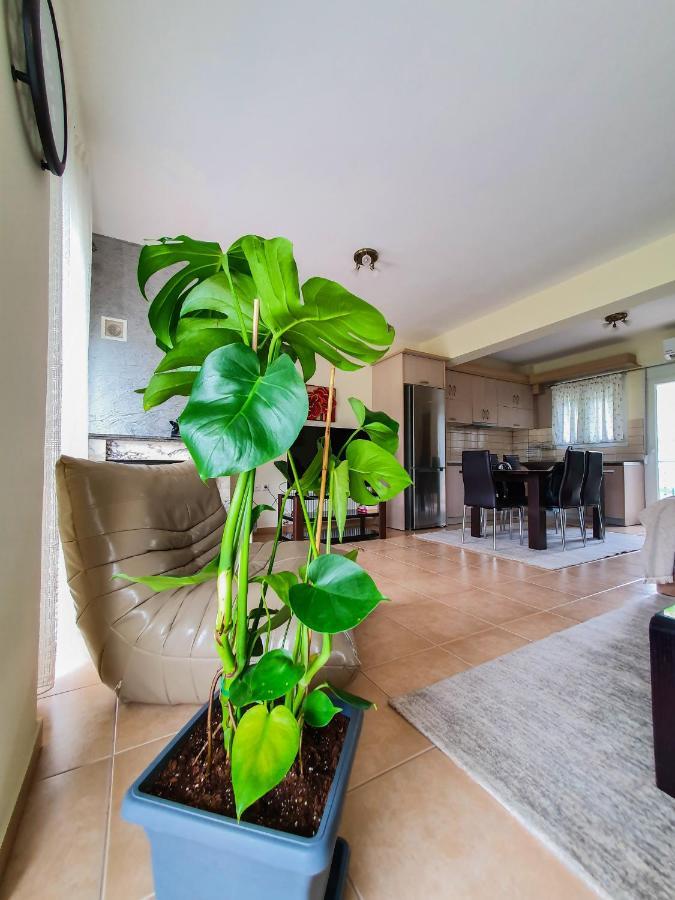 Olympian Two Floor Apartment Лептокария Экстерьер фото